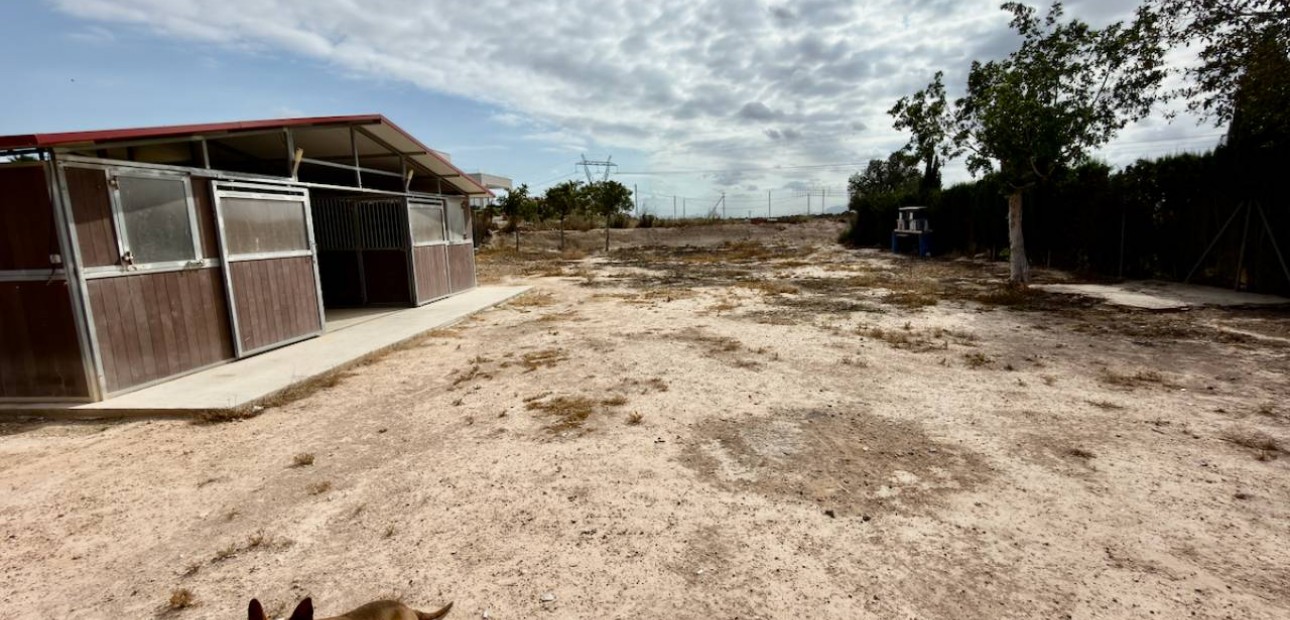 Venta - Finca / Country Property -
San Fulgencio - La Marina