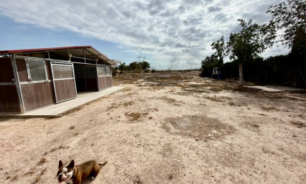 Venta - Finca / Country Property -
San Fulgencio - La Marina