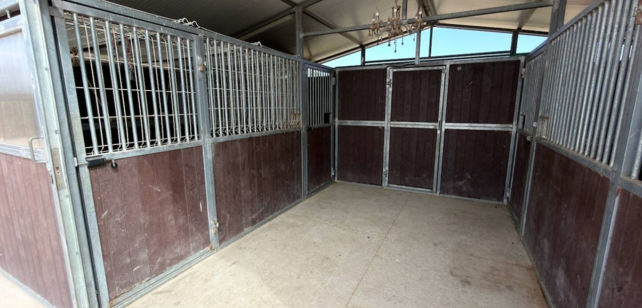 Venta - Finca / Country Property -
San Fulgencio - La Marina