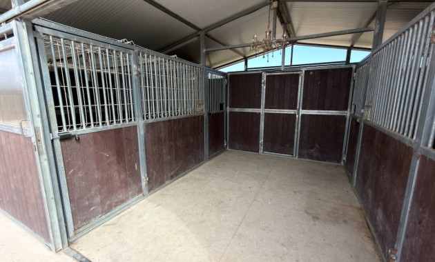 Venta - Finca / Country Property -
San Fulgencio - La Marina