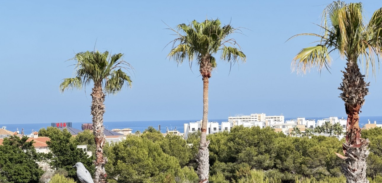 Venta - Quad Villa -
Orihuela Costa - Playa Flamenca