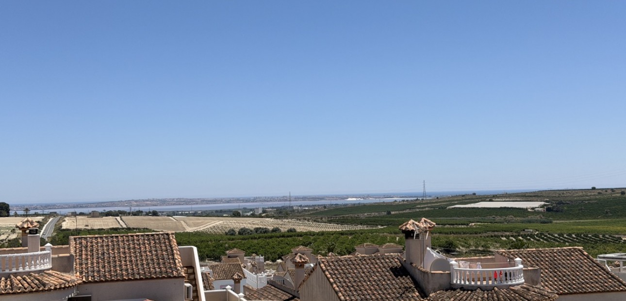 Venta - Detached Villa -
San Miguel de Salinas - Lake View Mansions