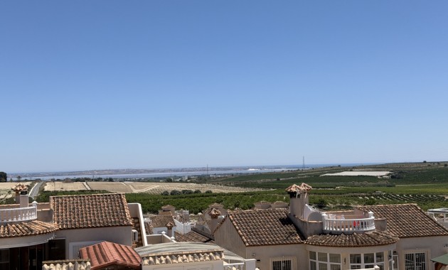 Venta - Detached Villa -
San Miguel de Salinas - Lake View Mansions
