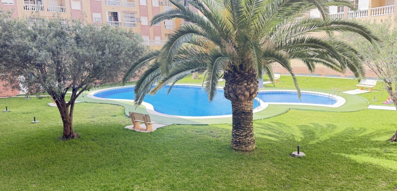 Herverkoop - Appartement / flat -
Torrevieja - Torrevieja - Centre