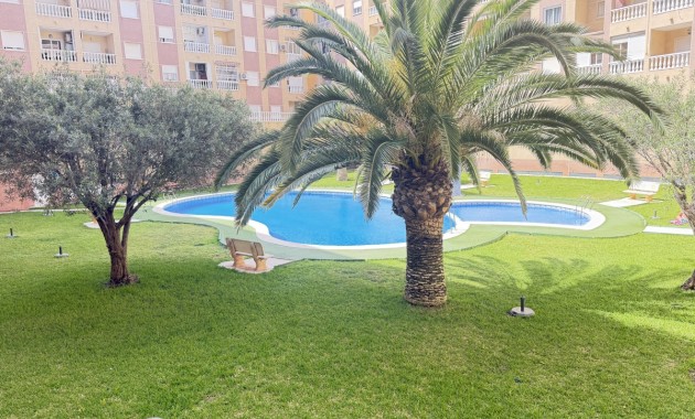 Herverkoop - Appartement / flat -
Torrevieja - Torrevieja - Centre