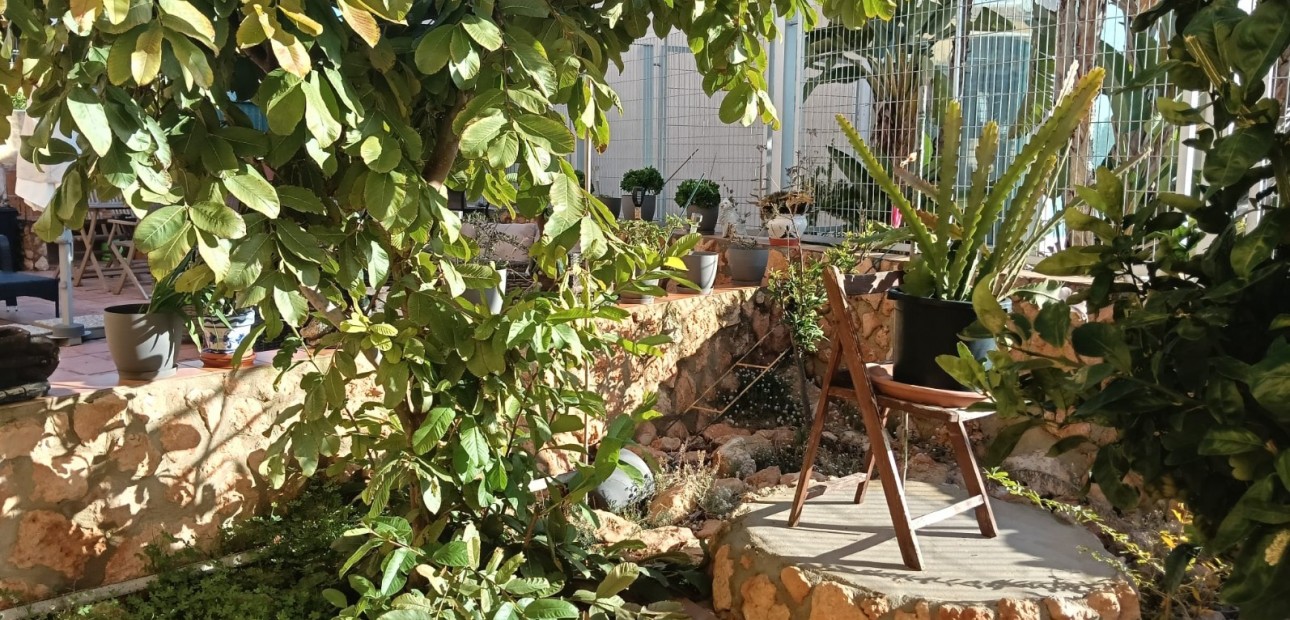 Venta - Apartamento / piso -
Los Montesinos - La Herrada