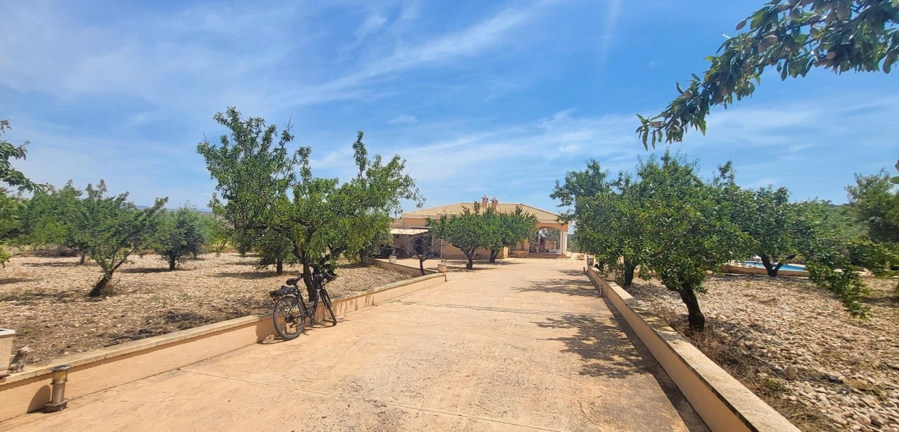 Venta - Country Property -
Hondon - Hondon de Las Nieves