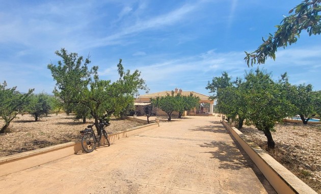 Venta - Country Property -
Hondon - Hondon de Las Nieves
