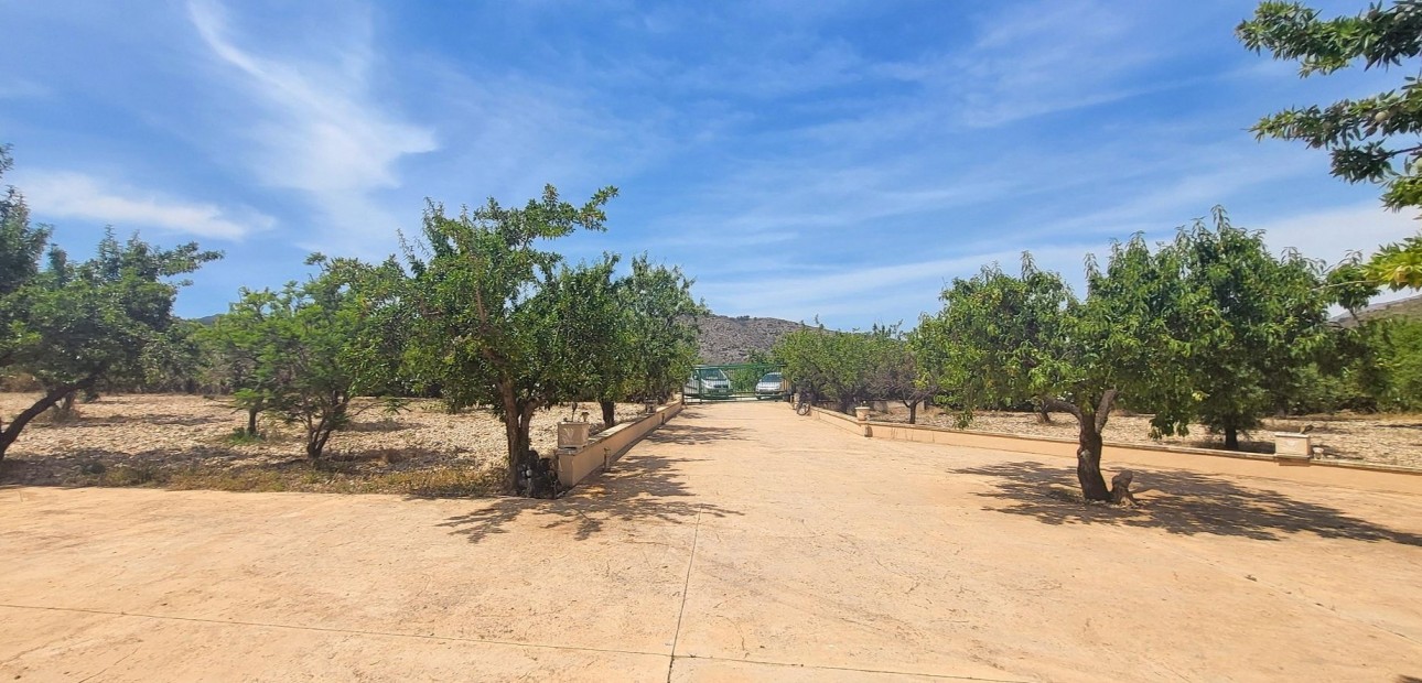 Venta - Country Property -
Hondon - Hondon de Las Nieves