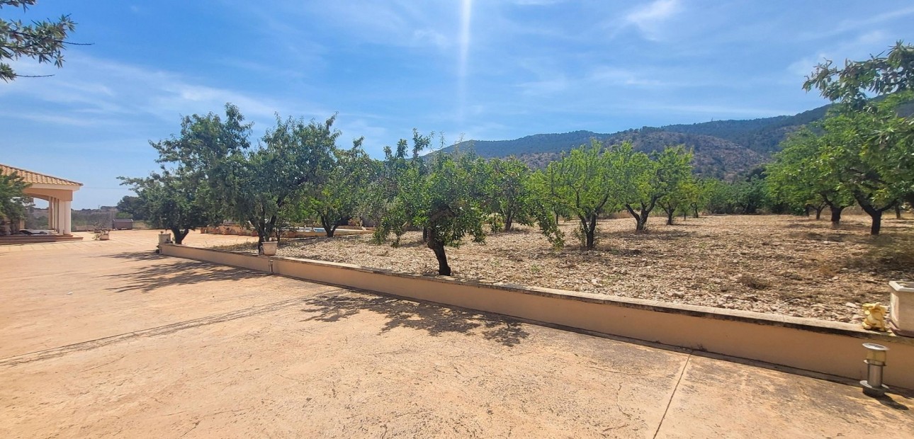 Venta - Country Property -
Hondon - Hondon de Las Nieves