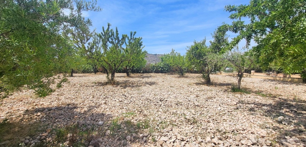 Venta - Country Property -
Hondon - Hondon de Las Nieves