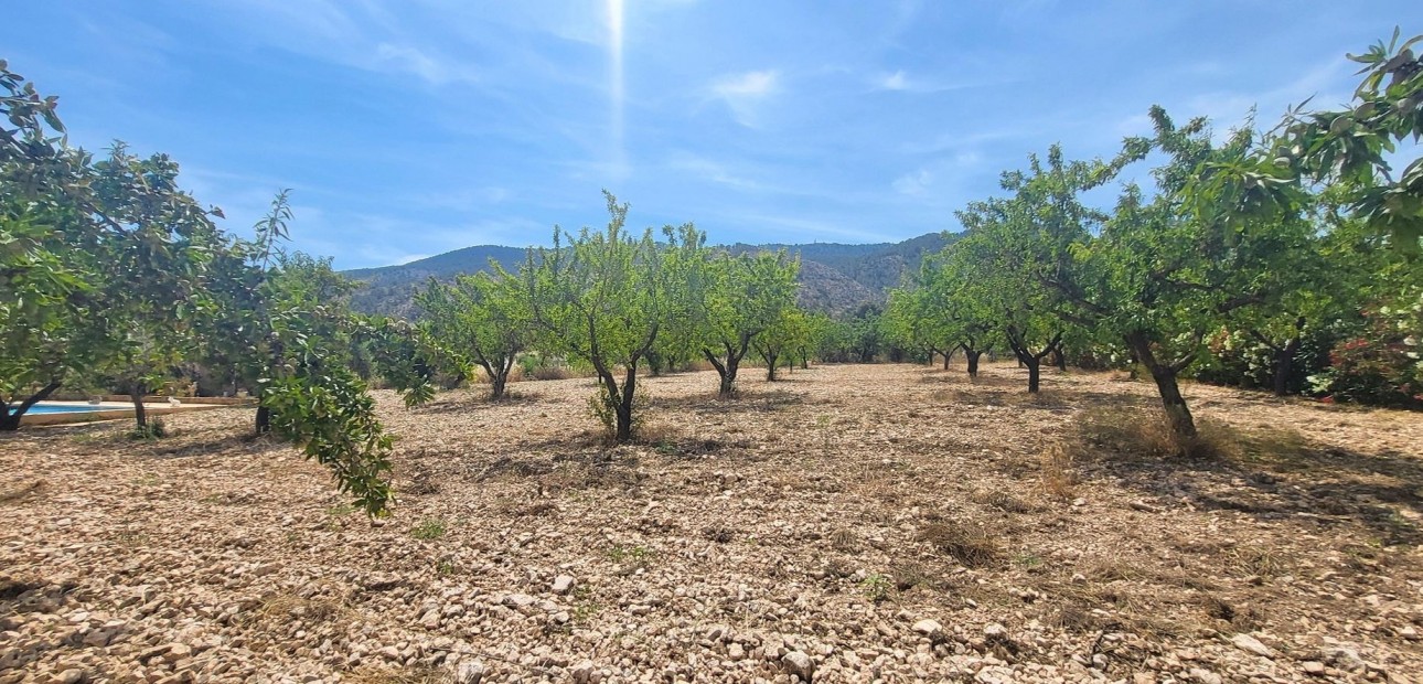 Venta - Country Property -
Hondon - Hondon de Las Nieves