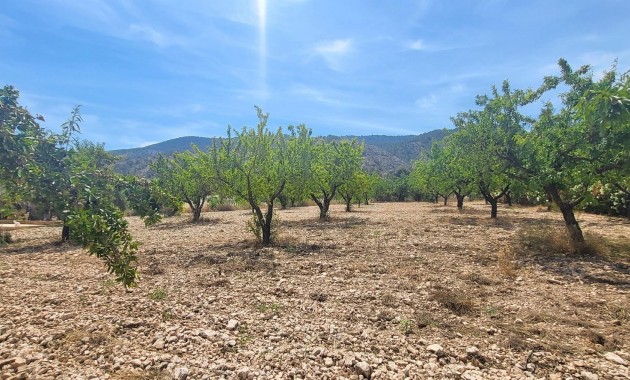 Venta - Country Property -
Hondon - Hondon de Las Nieves