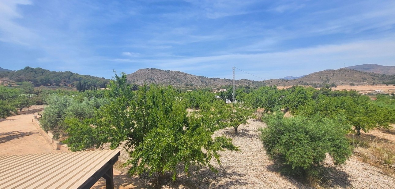 Venta - Country Property -
Hondon - Hondon de Las Nieves