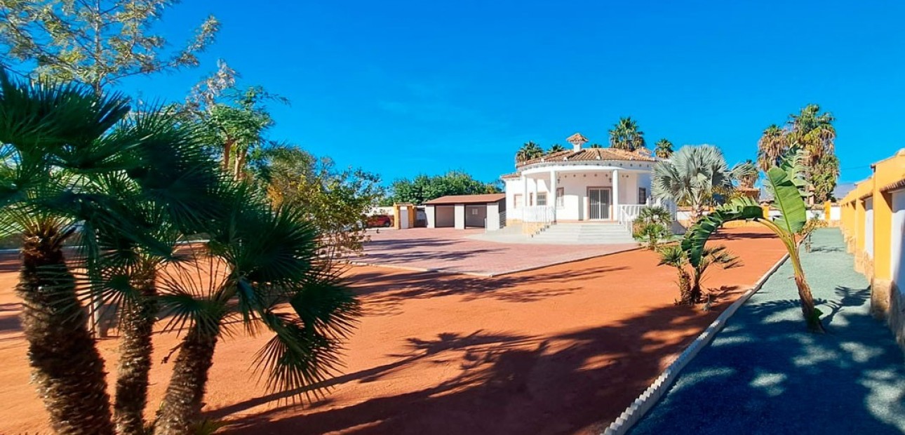 Venta - Country Property -
Catral - Catral - Country