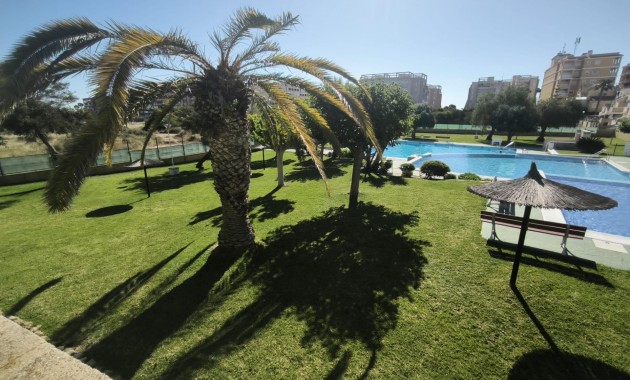 Herverkoop - Appartement / flat -
Torrevieja - Torreblanca