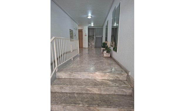 Herverkoop - Appartement / flat -
Torrevieja - torrevieja