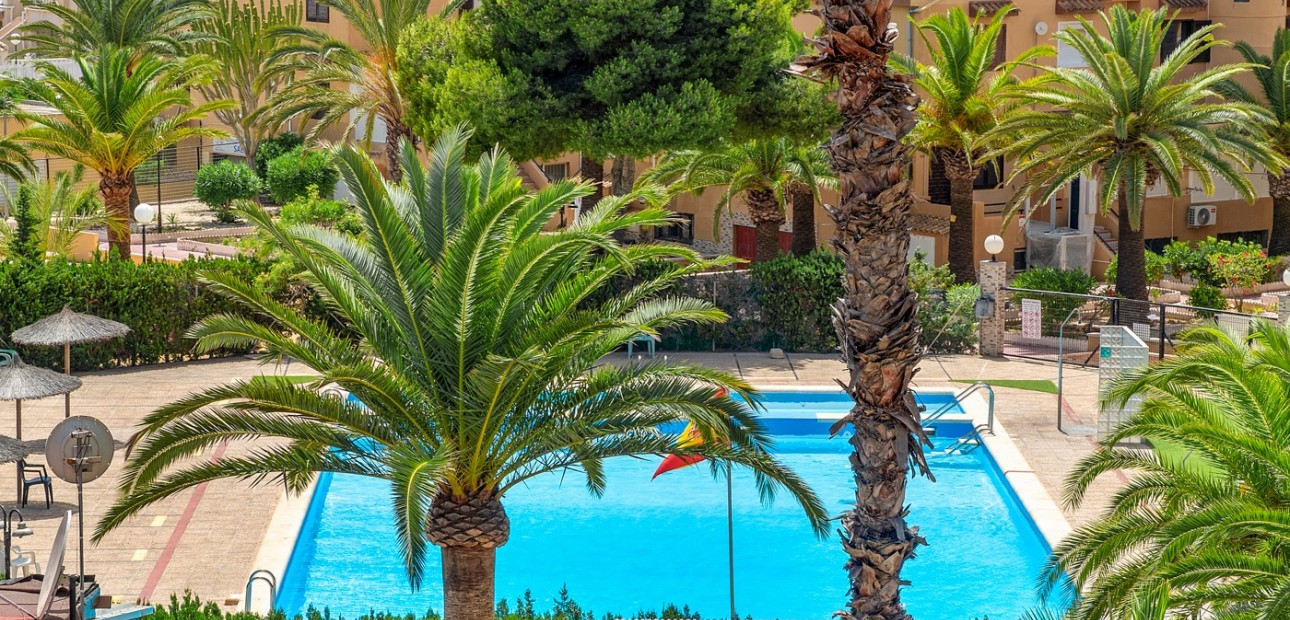 Herverkoop - Appartement / flat -
Torrevieja - Torrevieja - Aguas Nuevas