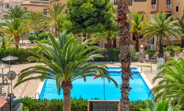 Herverkoop - Appartement / flat -
Torrevieja - Torrevieja - Aguas Nuevas