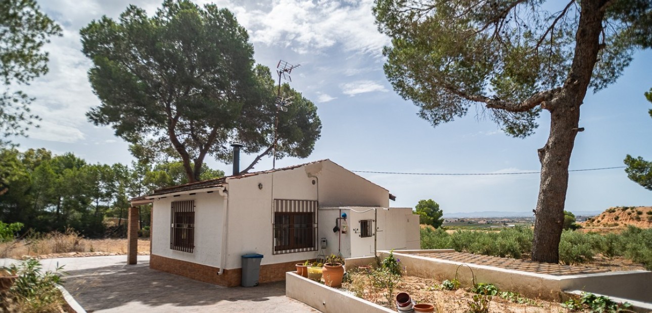 Sale - Apartment / flat -
LA TERCIA - La Tercia