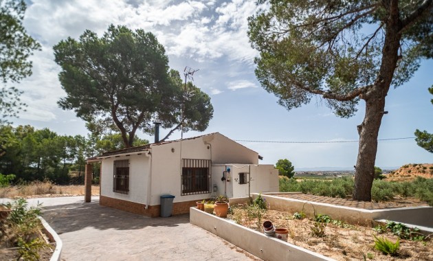 Sale - Apartment / flat -
LA TERCIA - La Tercia