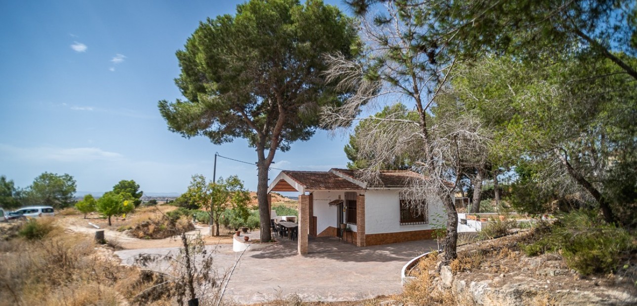 Sale - Apartment / flat -
LA TERCIA - La Tercia