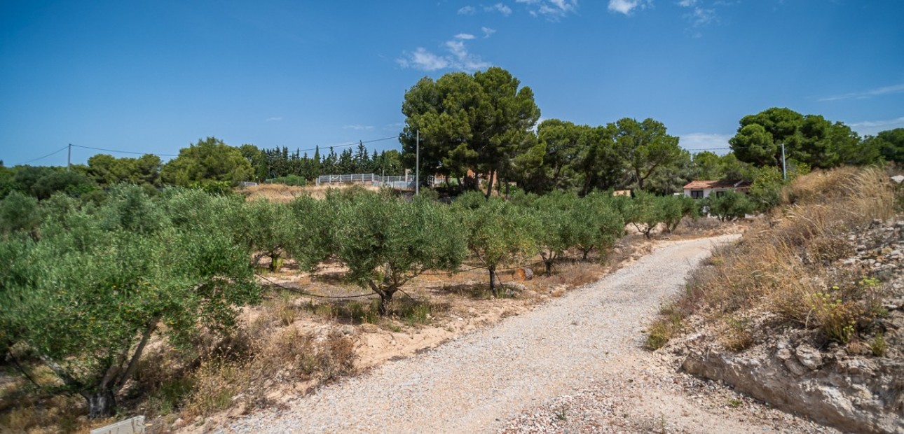 Sale - Apartment / flat -
LA TERCIA - La Tercia
