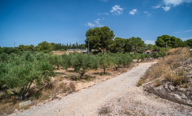 Sale - Apartment / flat -
LA TERCIA - La Tercia