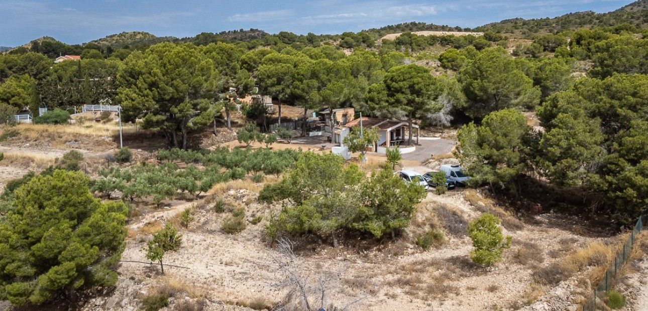 Sale - Apartment / flat -
LA TERCIA - La Tercia