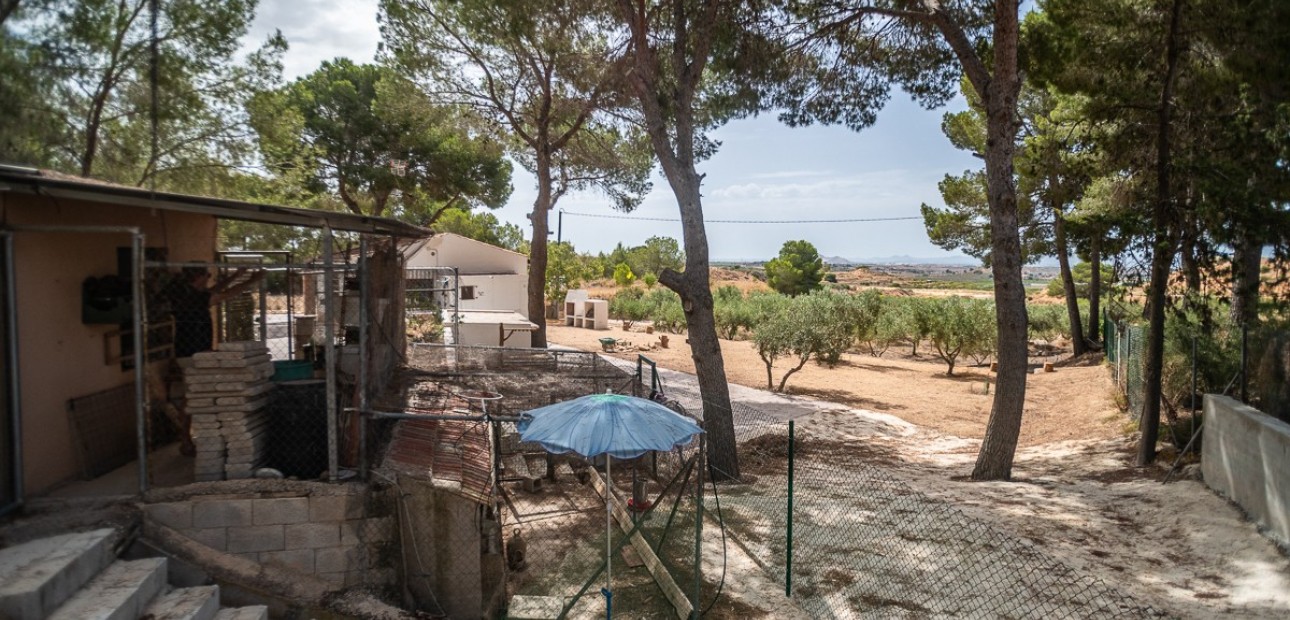 Sale - Apartment / flat -
LA TERCIA - La Tercia