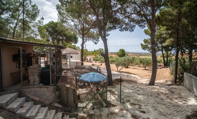 Sale - Apartment / flat -
LA TERCIA - La Tercia