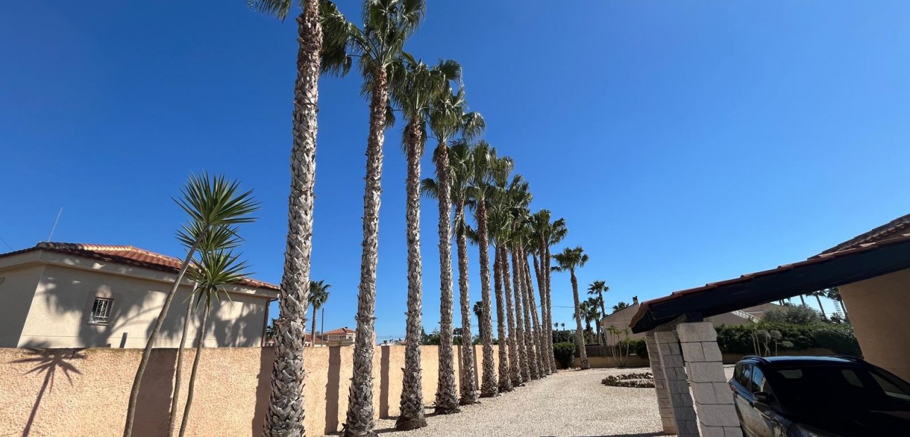 Sale - Country Property -
Catral - Catral - Country