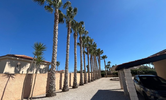 Sale - Country Property -
Catral - Catral - Country