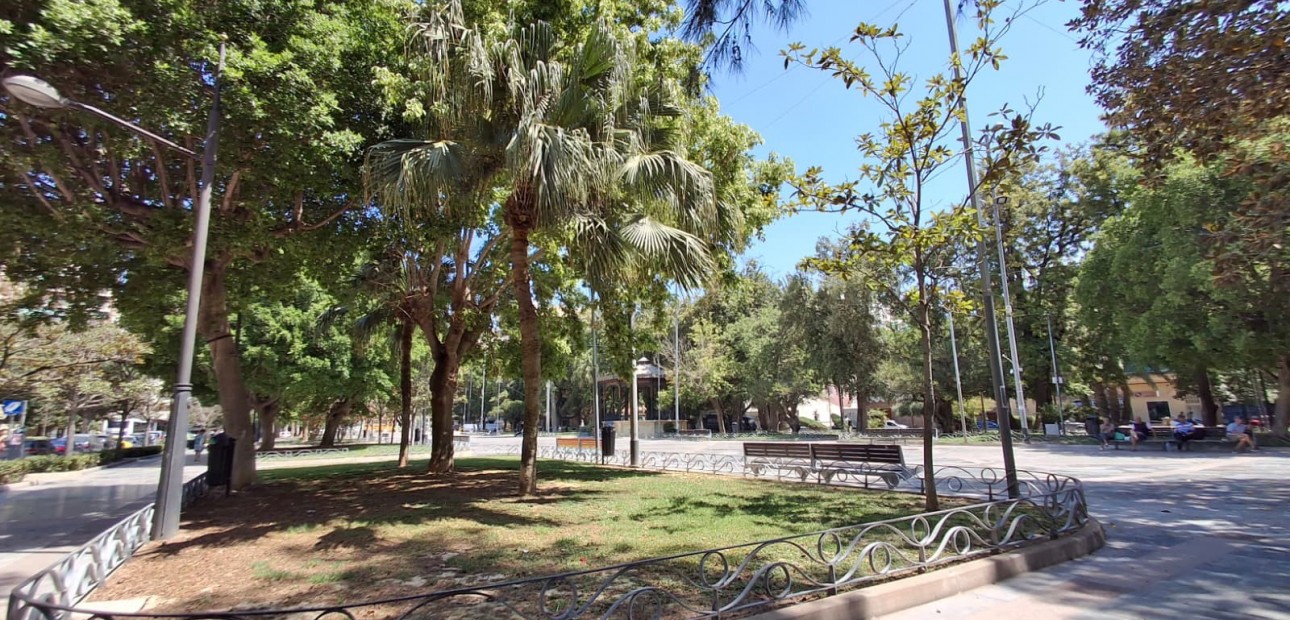 Venta - Apartamento / piso -
Orihuela - Zona Centro