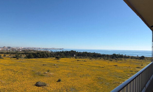 Venta - Ático -
Torrevieja - Punta prima