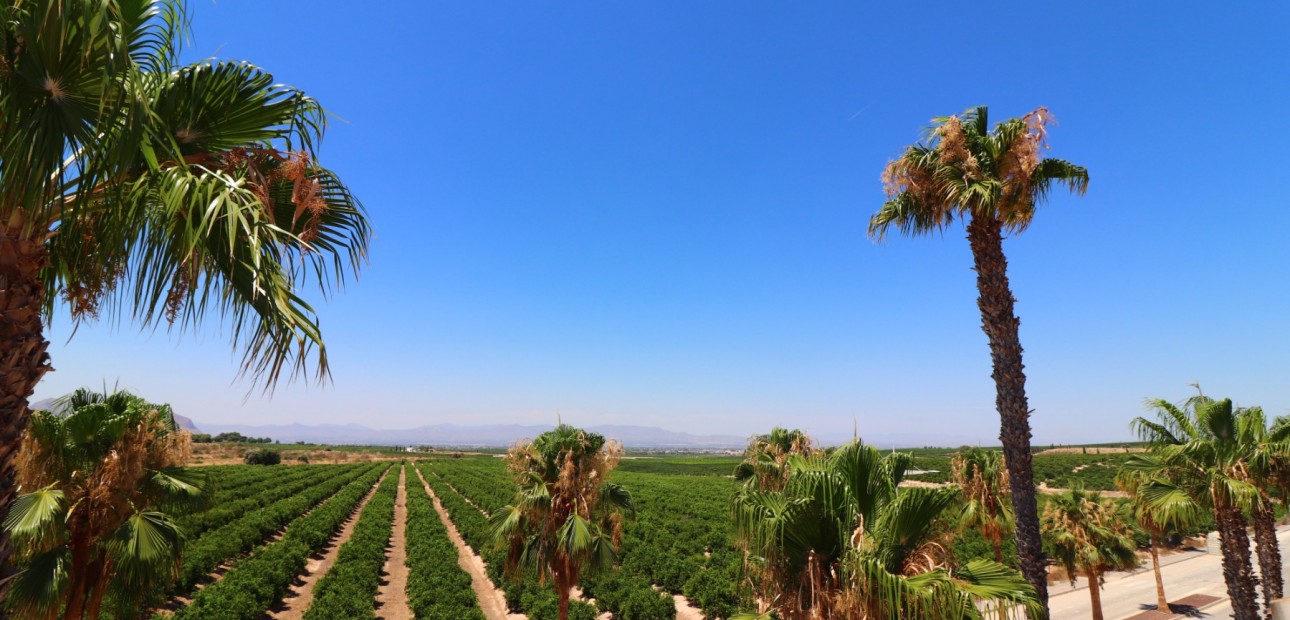 Venta - Semi Detached Villa -
Algorfa - La Finca Golf Resort