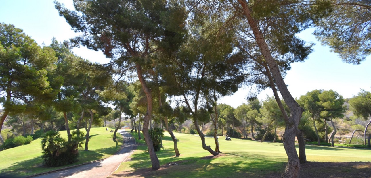 Sale - Duplex -
Orihuela Costa - Las Ramblas