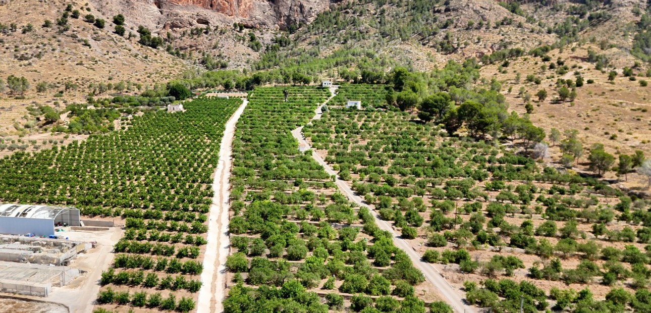 Herverkoop - Finca Country Property -
Orihuela