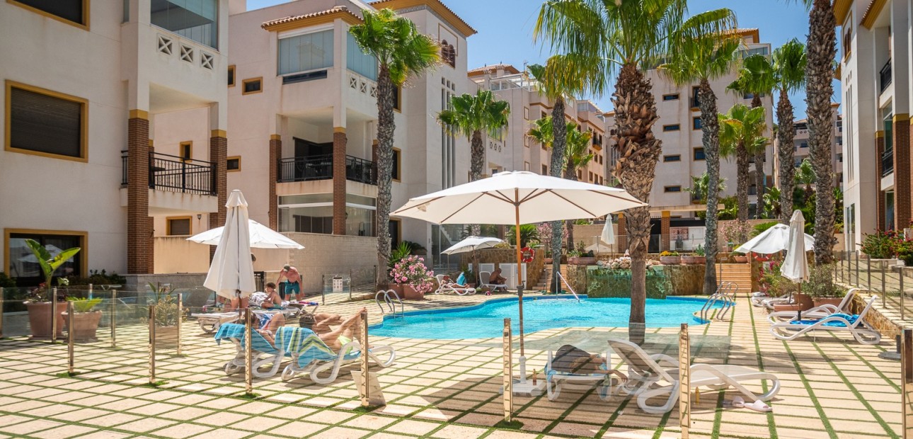 Venta - Apartamento / piso -
Guardamar del Segura