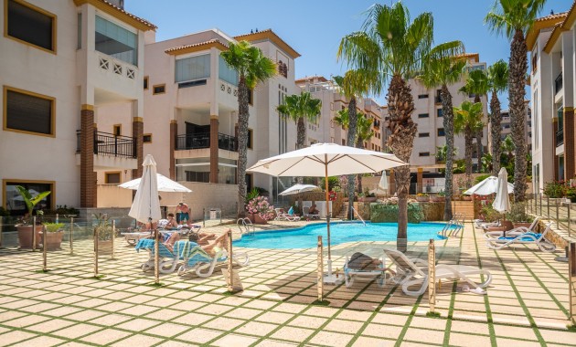 Venta - Apartamento / piso -
Guardamar del Segura