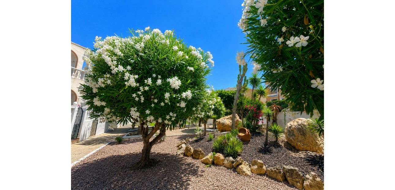 Sale - Bungalow -
La Mata - La Mata - Town