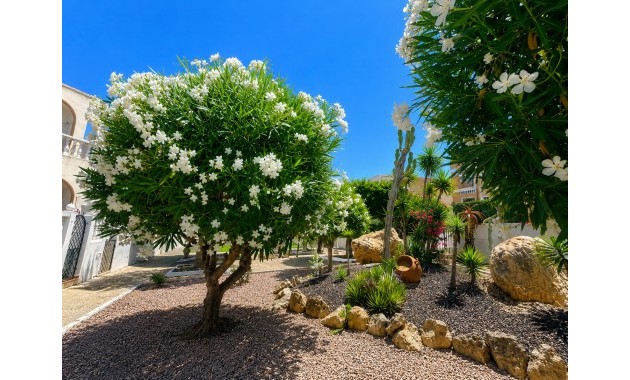 Sale - Bungalow -
La Mata - La Mata - Town