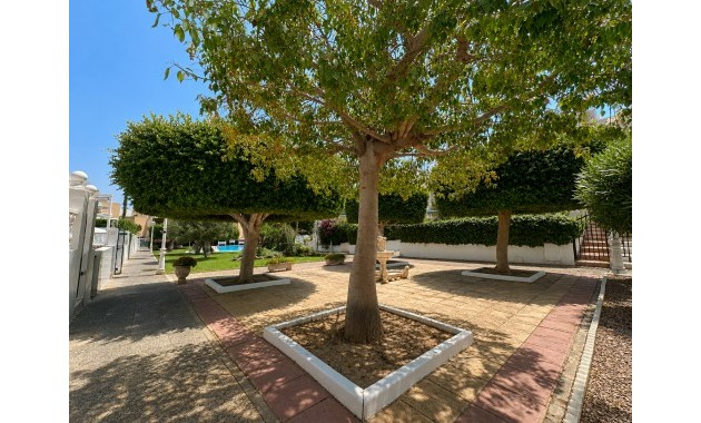 Sale - Bungalow -
La Mata - La Mata - Town