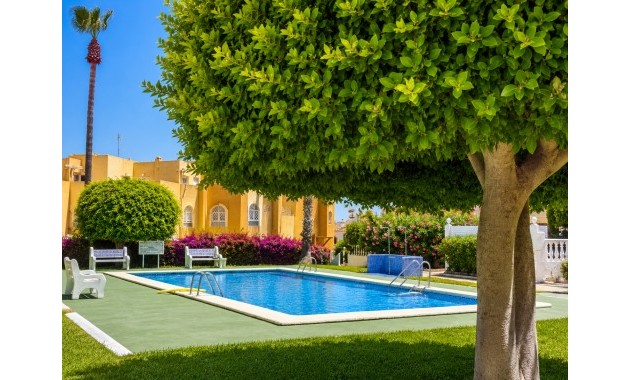 Sale - Bungalow -
La Mata - La Mata - Town