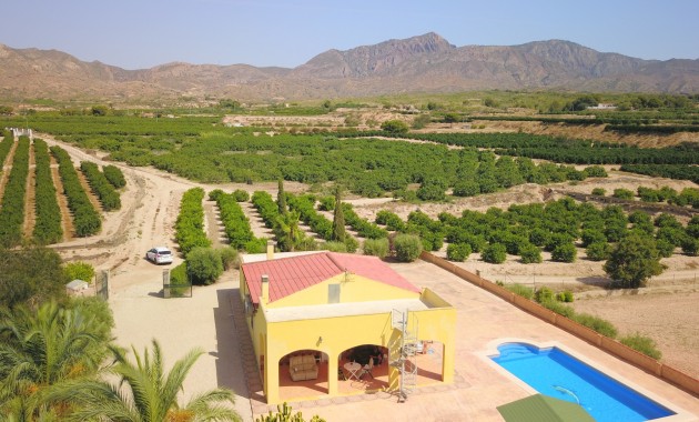 Sale - Country Property -
Albatera - Albatera - Country