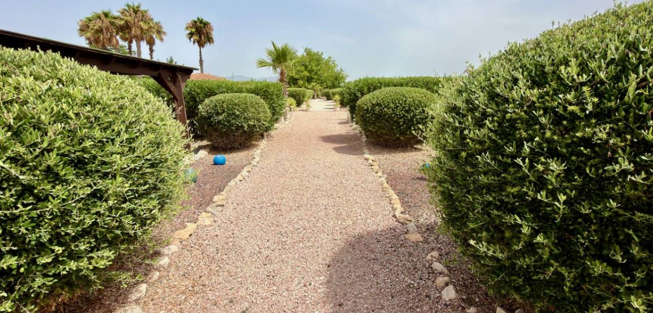 Venta - Villa -
Catral