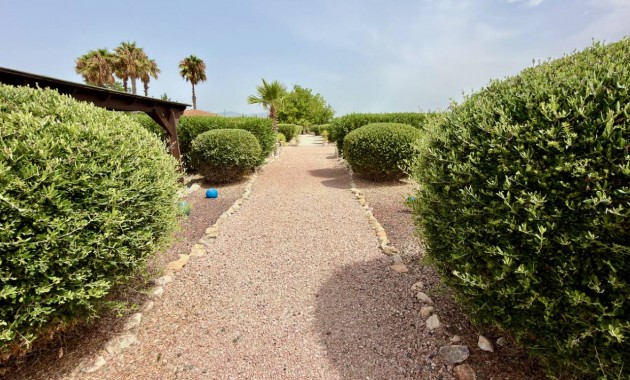 Venta - Villa -
Catral