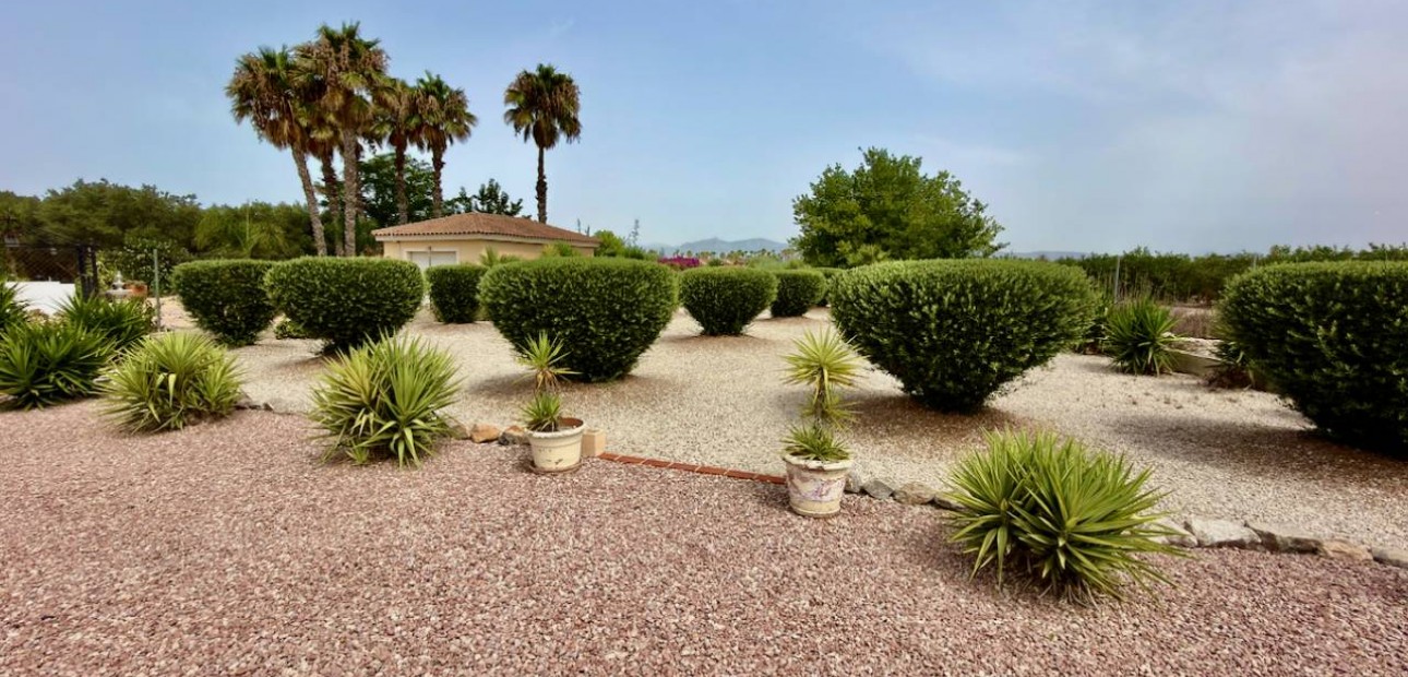 Venta - Villa -
Catral