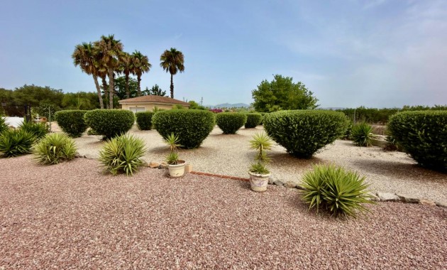 Venta - Villa -
Catral