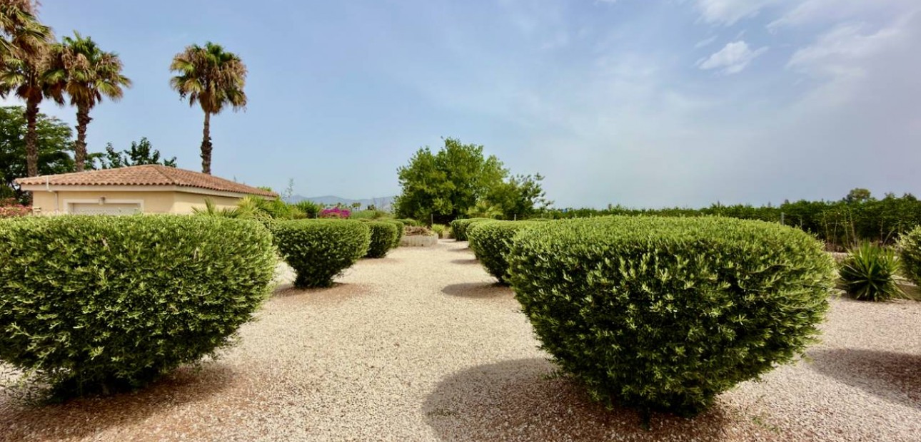 Venta - Villa -
Catral